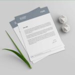 Premium - Letter Head