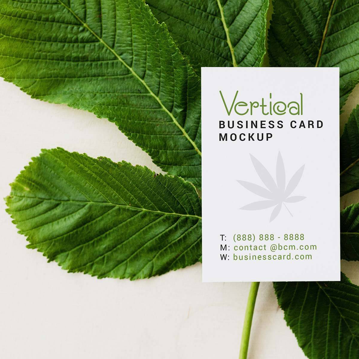 Free-Vertical-Business-Card-Mockup-PSD
