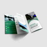 Brochure - Tri Fold