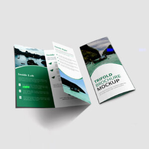 Brochure - Tri Fold